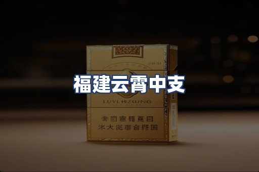 福建云霄中支